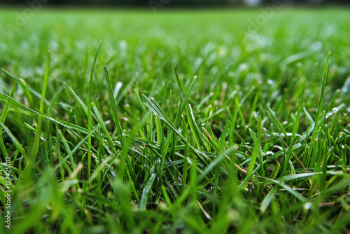 Healthy grass expanding in patterns across a large agricultural plot photo