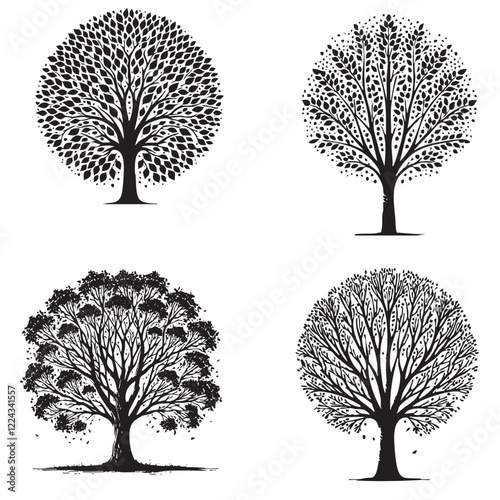 Detailed Vector of the Poplar Tree Silhouette Isolated on White Background" 