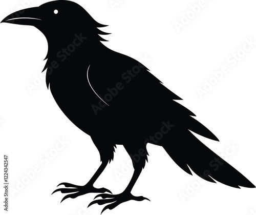 Crow silhouette vector, Crow raven bird vector illustration