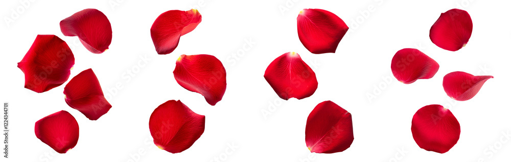 Fototapeta premium Floating Red Rose Petals, PNG set
