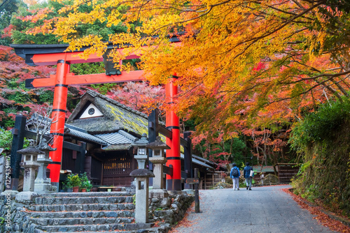 Φωτογραφία Torii gate of Atago Jinja Shrine with autumn leaves, Kyoto