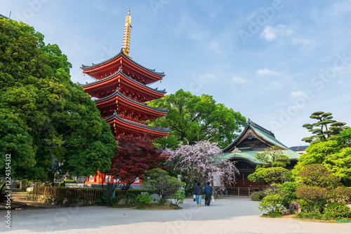 LGBTQ couple visit Tochoji Temple with cherry blossom, Fukuoka photo