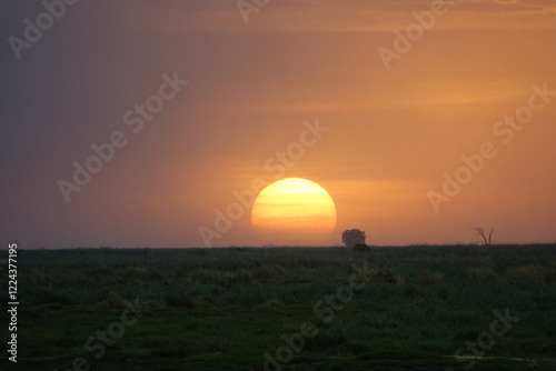 Herd of Elephants in African Sunset in Botswana, Linyanti Region in the Chobe National Park