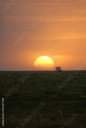 Herd of Elephants in African Sunset in Botswana, Linyanti Region in the Chobe National Park