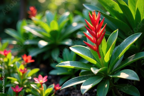 Cascabela thevetia blooms in a tropical garden with lush greenery and colorful flowers, cascade, foliage, plant photo