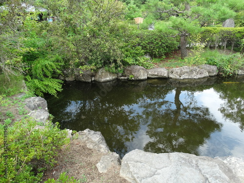日本庭園の小池
