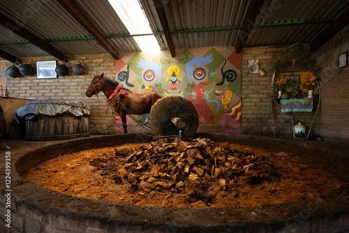 The maguey is traditionally crushed using stone mills and animals to extract the juices and sugars from the pineapple, used to produce Mezcal. photo
