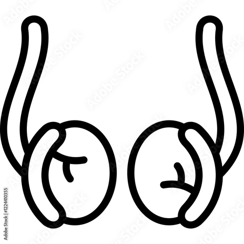 testicle line icon
