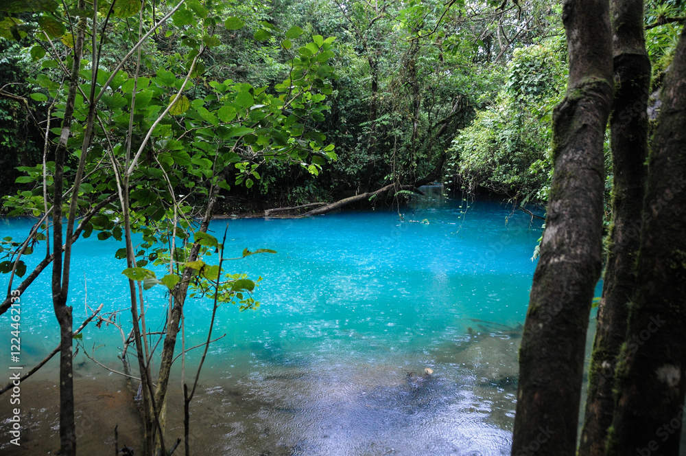 Naklejka premium The Rio Celeste in Costa Rica is a naturally neon blue river