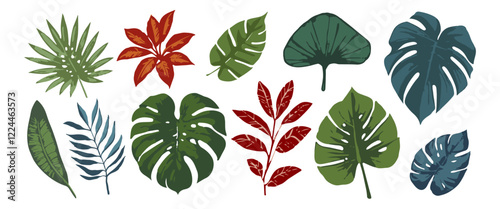 Tropical leaves, plants . Vector modern floral illustrations of tropic print, palm leaf, monstera, fern on white