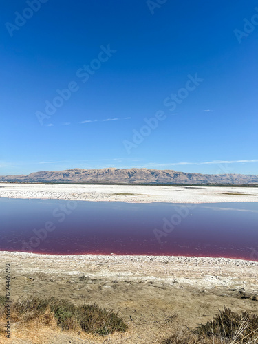 Alviso Marina County Park photo
