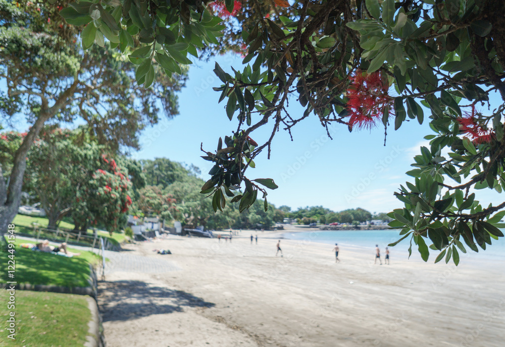 Pohutukawa flowers framing Takapuna Beach. Unrecognizable young people playing on the beach in summer. Auckland.