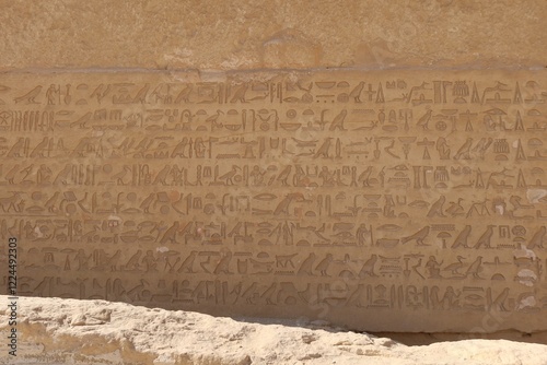 Reliefs in the tomb of the Chief Justice and Vizier Mehu in Saqqara in Giza showing daily life of the pharaohs including food offerings, harvesting, fishing, gardening and much more