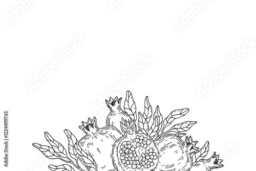 Hand-painted composition of pomegranate fruit and leaves with space for text. Sketch on white background.