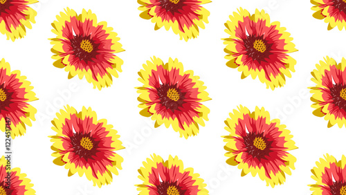 Vector seamless pattern of beautiful Blanket flower blooming. Suitable for background, wrapping, fabric texture pattern