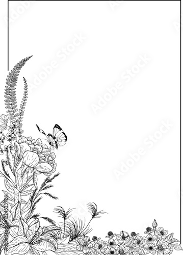 Elegant Floral Frames great for that special occasion