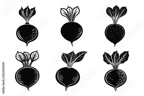  Radish sets icon vector on White Background ,Vector Art Illustration on white background.