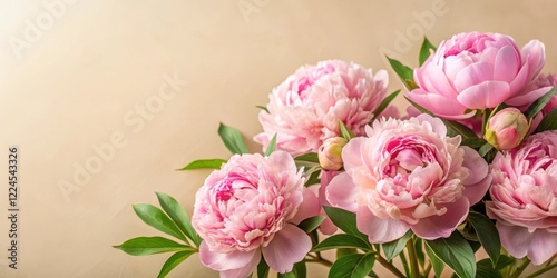 Soft Pink Peony Flowers with Greenery and Beige Background