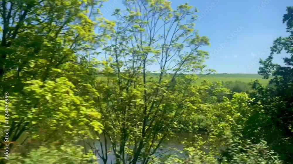 Rolling green hills beneath a bright blue sky, showcasing the peaceful beauty of the English countryside, train railway trip Rolling green hills beneath a bright blue sky, showcasing the peaceful beauty of the English countryside, train railway trip