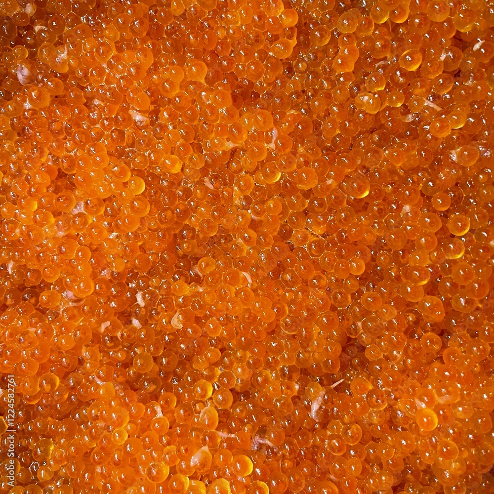 red trout fish caviar texture red trout fish caviar texture