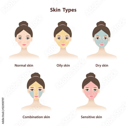 Different skin types vector set isolated on white background. The cute women with basic types of skin, normal, oily, dry, combination and sensitive skin. Skin care and beauty concept illustration.