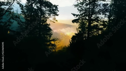 Aerial View of a Drone Flying Through a Dense Misty Forest Revealing a Hidden Mystical Valley Surrounded by Lush Green Mountains and Enveloped in Morning Fog