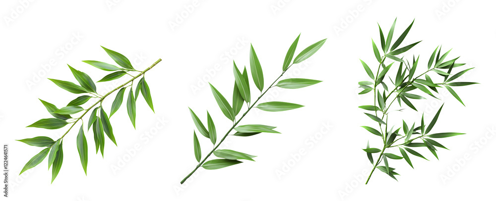 Naklejka premium Isolated green bamboo leaves on a transparent background for design use