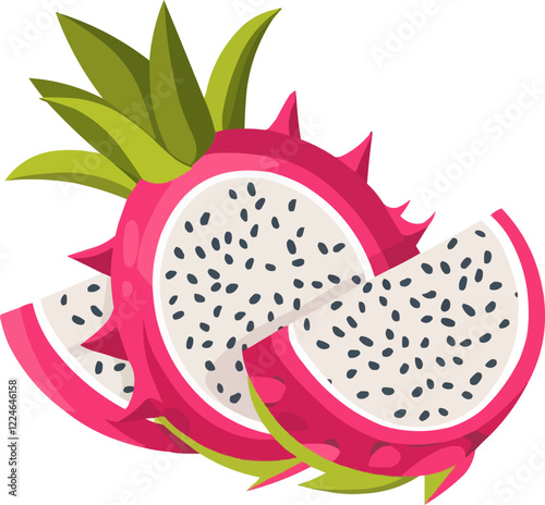 Tropical dragon fruit vector: vibrant and fresh design.