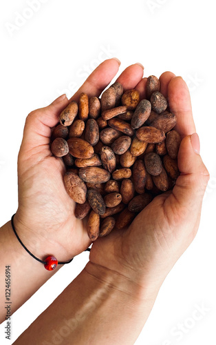 Isolated female hands holding a handful of cocoa beans. Table top view