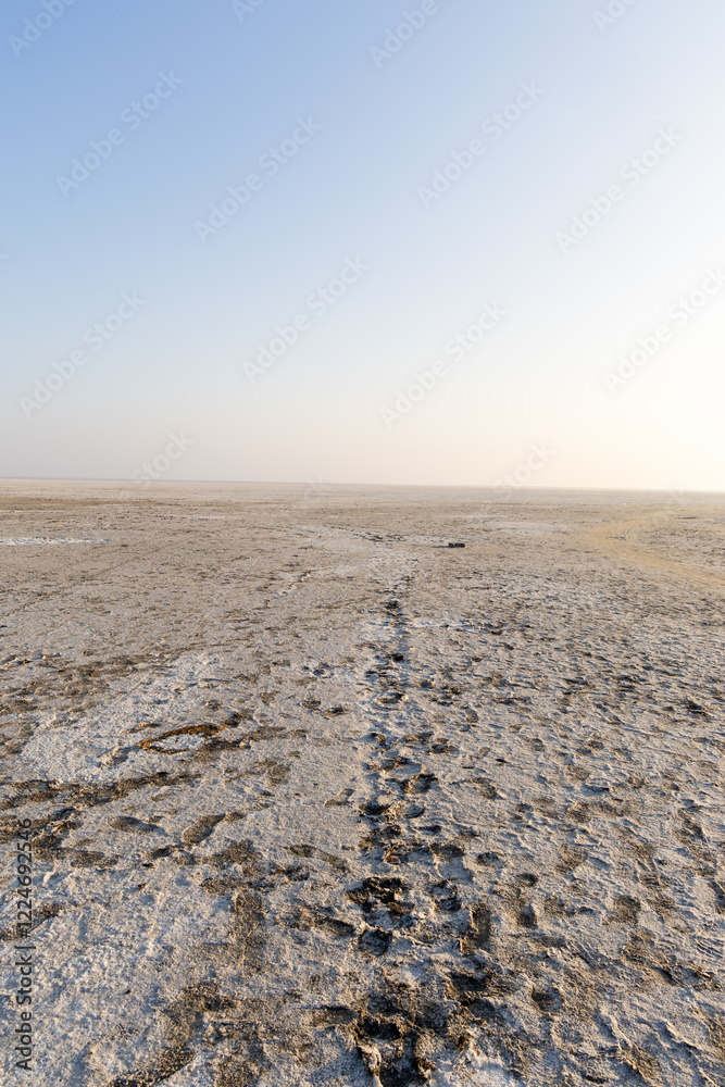 white salt flats desert with dramatic bright blue sky at dawn white salt flats desert with dramatic bright blue sky at dawn
