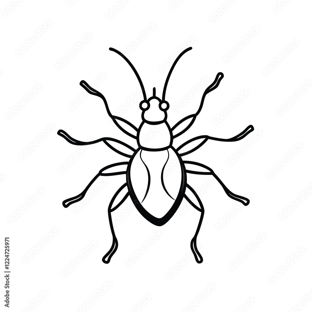 spider Insect line art vector illustration spider Insect line art vector illustration