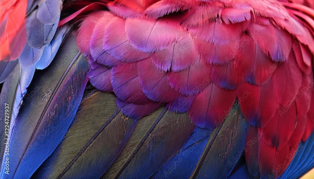 Obraz premium Macro Photograph Highlighting the Intricate Details of Purple Macaw Feathers