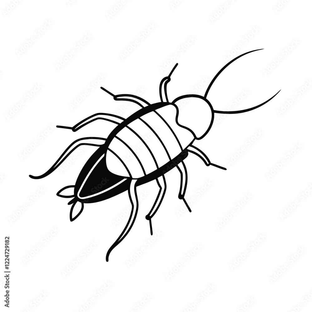 Insect line art vector illustration Insect line art vector illustration