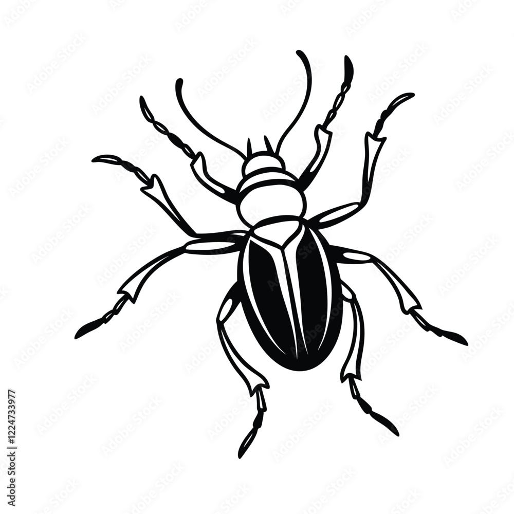 black spider isolated on white Insect line art vector illustration black spider isolated on white Insect line art vector illustration
