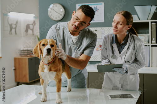 Фотография Veterinarians examining a Beagle on exam table in modern vet clinic