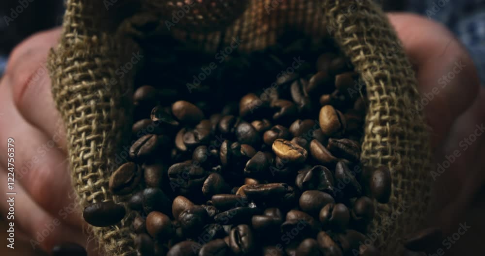 Super slow motion close up of farmer is controlling quality of handful fresh flavorful aromatic roasted coffee beans over burlap sack background at 1000 fps.