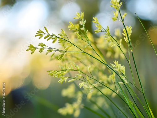 green leaves on a sunny day