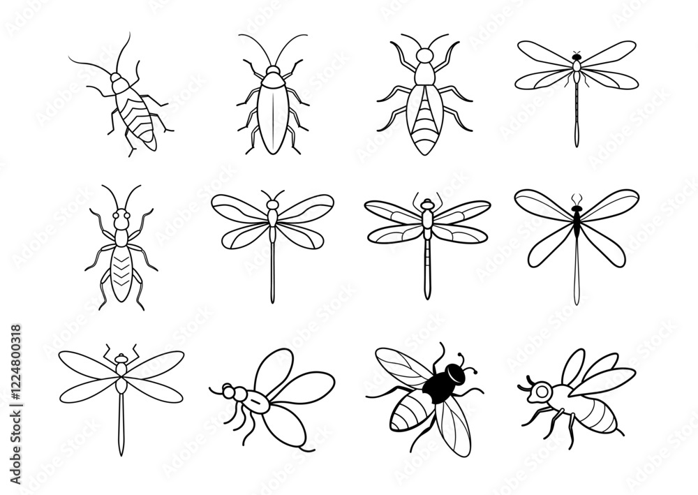 Insect Line Art Illustrations set