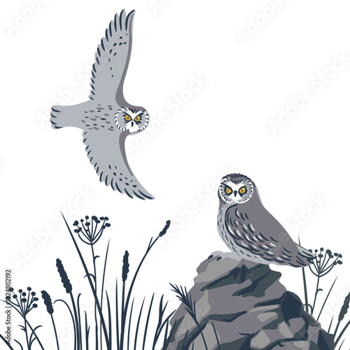 vector drawing birds, great horned owl sitting at rock, hand drawn Bubo virginianus , isolated nature design element
