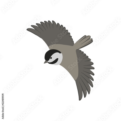 vector drawing bird, black-capped chickadee, hand drawn Poecile atricapillus, isolated nature design element photo