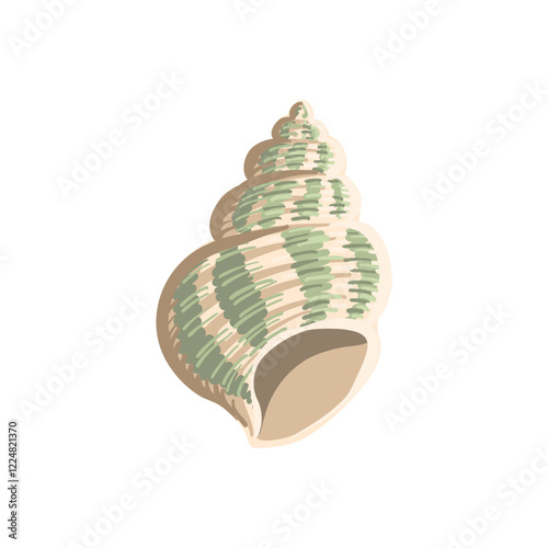 vector drawing sea shell, seashell isolated at white background, hand drawn illustration