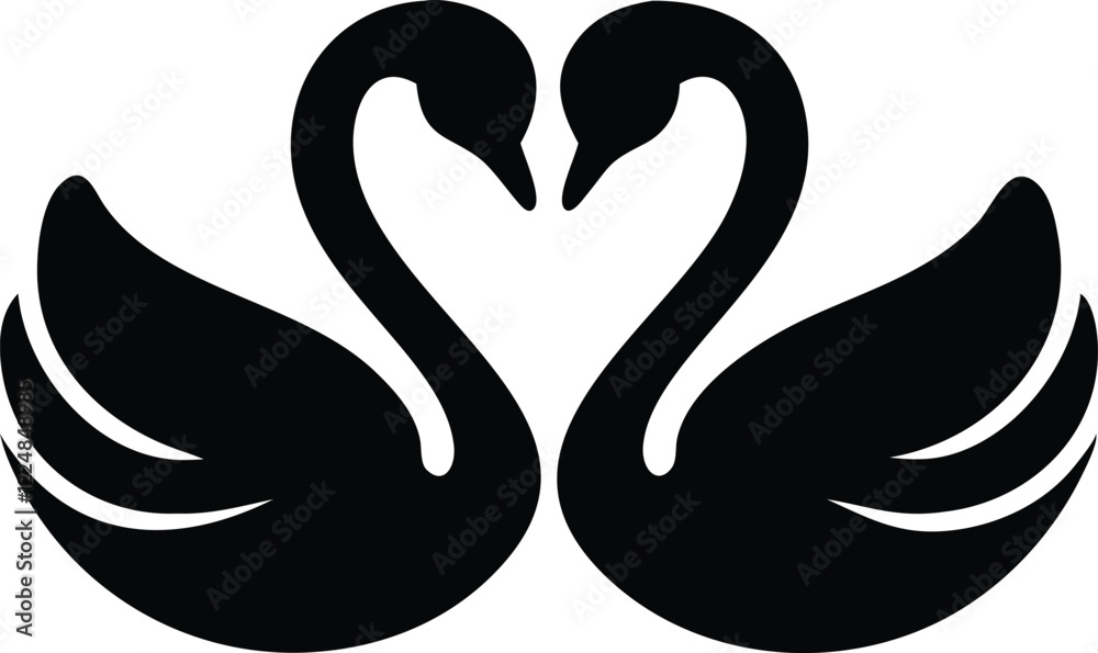 Fototapeta premium black swan