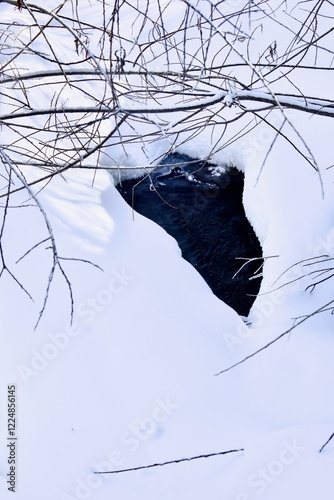 thawing in a mountain river in winter
