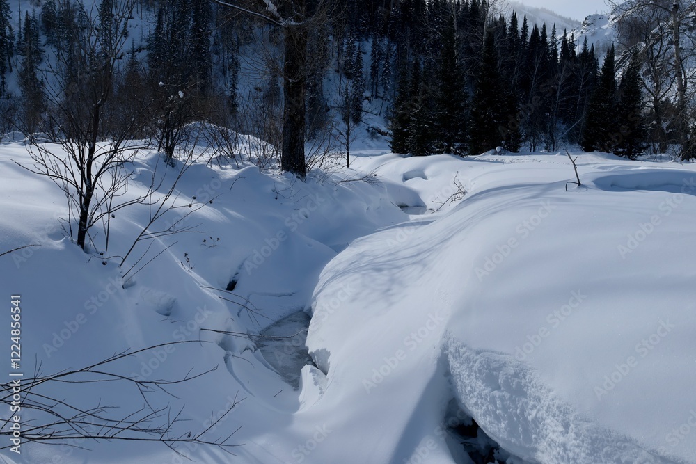 A frozen stream in a winter forest in the mountains A frozen stream in a winter forest in the mountains