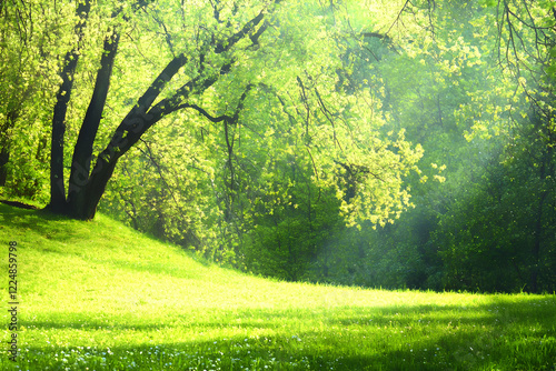 Sunlit Forest Glade Creates...