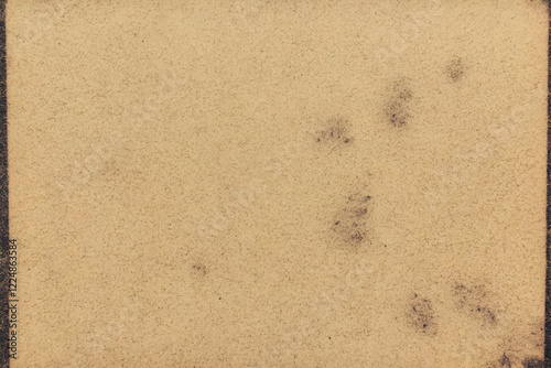 Beige Textured Background S...