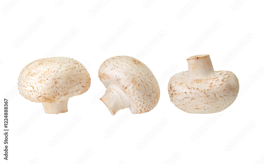 Few fresh whole champignons close up isolated on a white background Few fresh whole champignons close up isolated on a white background