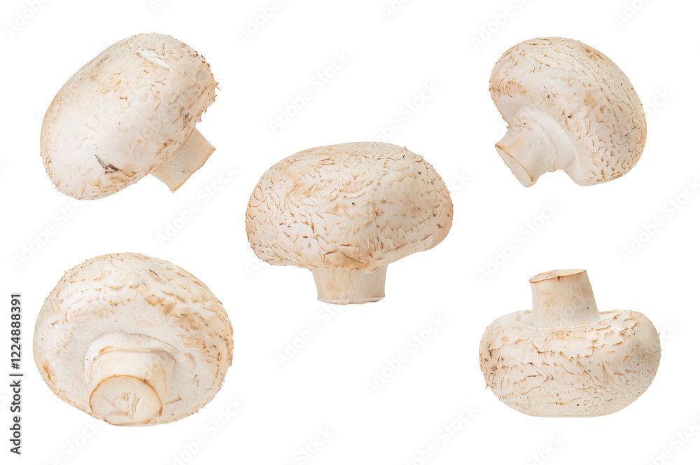 Few fresh whole champignons close up isolated on a white background Few fresh whole champignons close up isolated on a white background