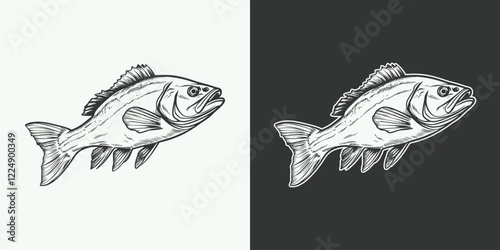 Vintage retro jand drawn engraving illustration of cod fish animal