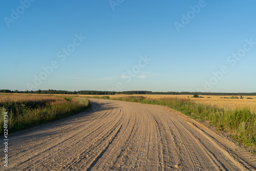 A dirt road runs through golden fields of wheat under a clear blue sky, with green trees in the distance.